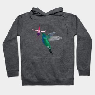 Colibrì Hoodie